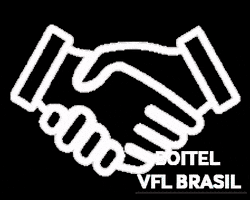 VFL BRASIL GIF
