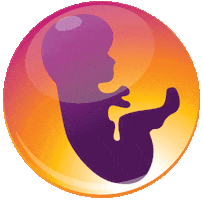 3dechobarendrecht Sticker