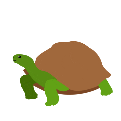 Turtle Naturalhistorymuseum Sticker by NHM Wien