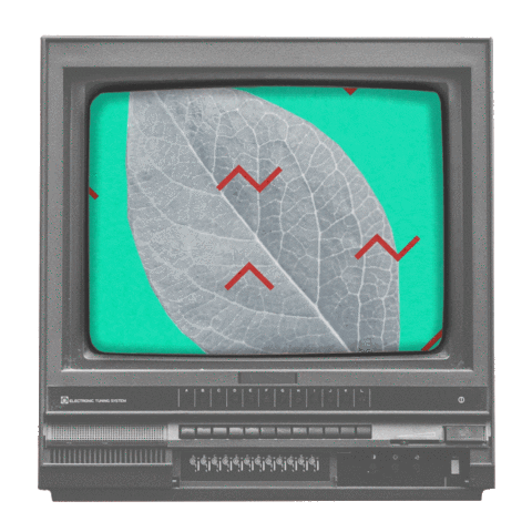 Prepni na Revúcu Sticker