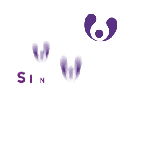 Sticker by Xarxa Agency