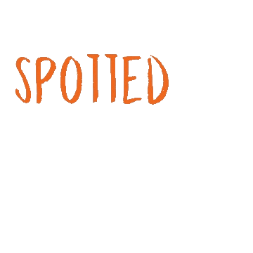 Plein Café Wilhelmina Sticker