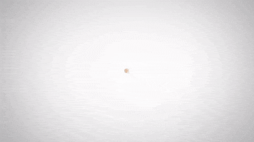 Gandget S&P GIF