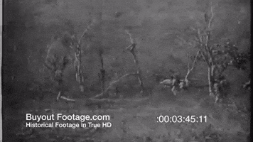 Malicious  GIF
