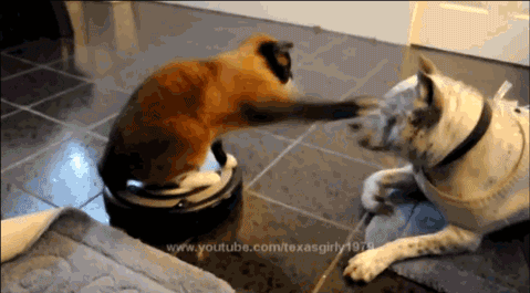 source.gif
