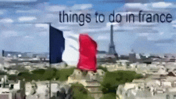 France Joke GIF