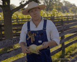 Eat Fresh Corn On The Cob GIF by Reconnecting Roots