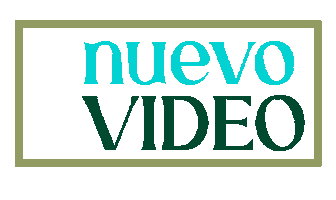 Nat Vizurraga Sticker