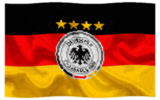 Germany Football GIF by Parimatch