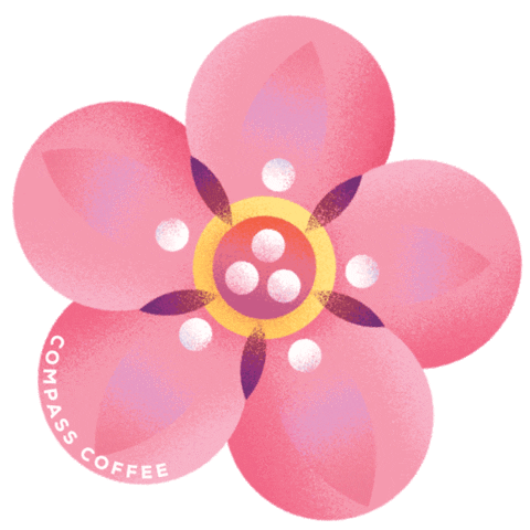 Compass Coffee Sticker