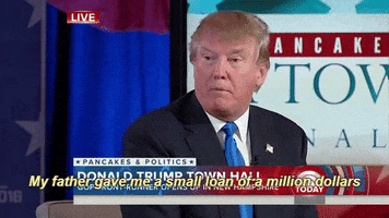 orlesian-regal #donald trump #small loan #a million dollars GIF