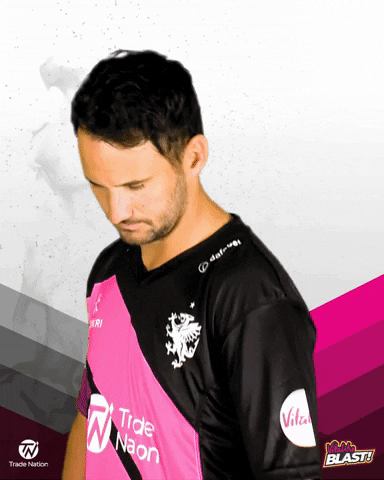 Vitality Blast GIF by Somerset County Cricket Club