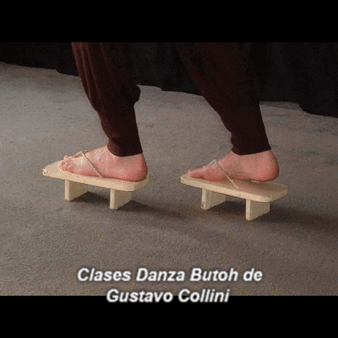 gustavocollinisartor arte baile danza educacion GIF