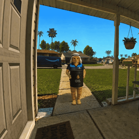 Amazon Delivery GIF