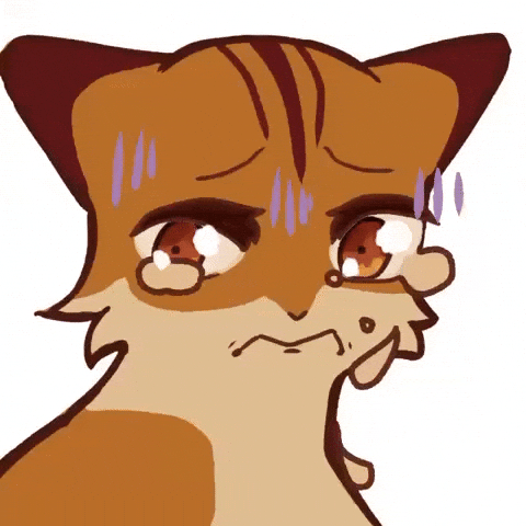 Scared Cat GIF