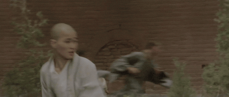 The Shaolin Temple GIF