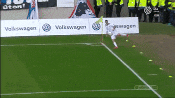 meszolysaman  GIF