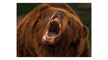 Bear Sticker by Berne Workwear