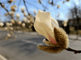 Bmw GIF