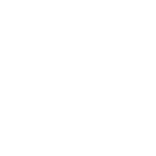 Roe City Roller Derby Sticker