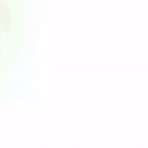 GIESSWEIN GIF