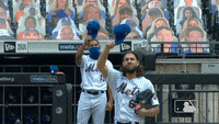 Tom Seaver New York Mets GIF - Tom Seaver New York Mets Mets - Discover &  Share GIFs