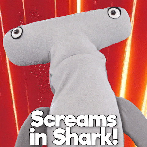 So Excited Omg GIF by Aquarium of the Pacific