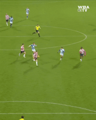 West Brom Goal GIF by West Bromwich Albion