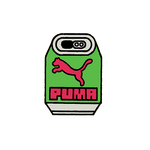 jd sports puma rider