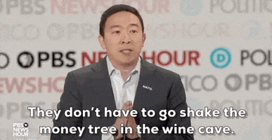 Democratic Debate GIF by GIPHY News