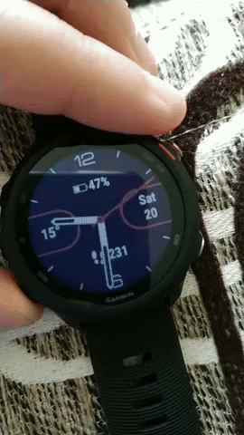 Fr245 GIF
