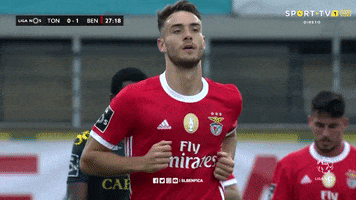 Lets Go Yes GIF by Sport Lisboa e Benfica
