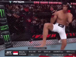Ufc Mma GIF