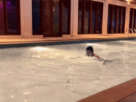 Prabowo GIF