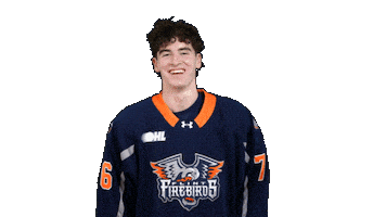 Game Day Win Sticker by Flint Firebirds