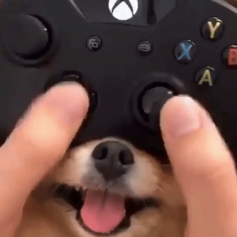 Xbox Gifs Get The Best Gif On Giphy