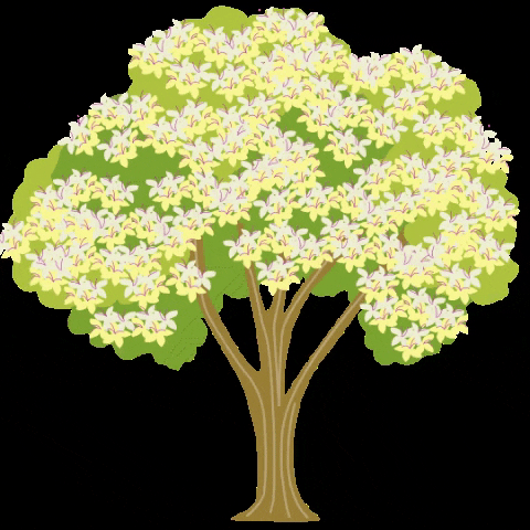 cynthiabauzonarre flower flowers tree trees GIF