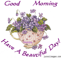 Good Morning Have A Beautiful Day GIF