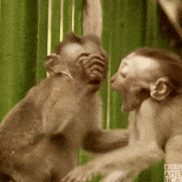 200w.gif