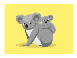 Koala Savetheplanet GIF by Rewards4Earth