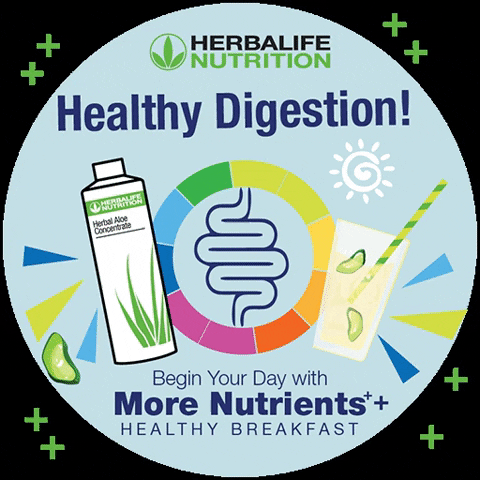 Herbal Tea Digestion GIF by Herbalife Nutrition Philippines