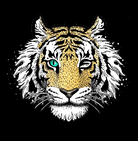 fableandmane wink india tiger nikita GIF