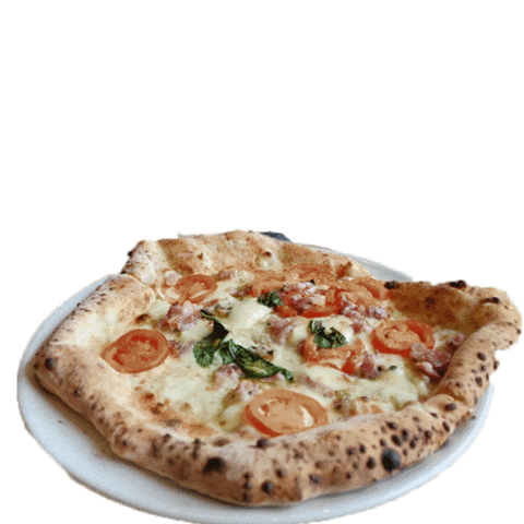 Pizza Panefresco Sticker by Paolo Roberto