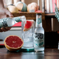 Gin And Tonic Drink GIF by Square Root Soda