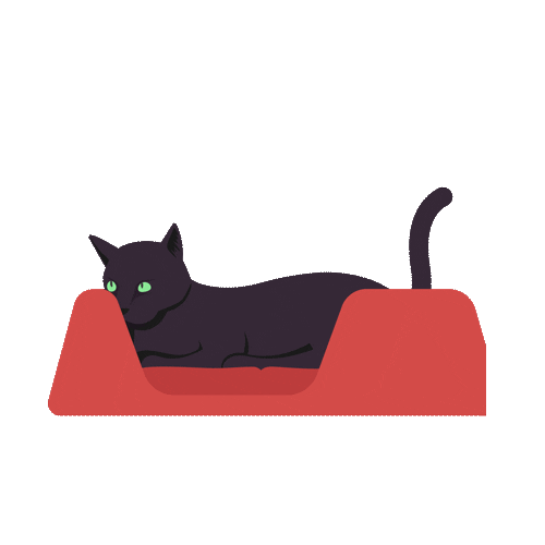 Cat Sticker