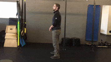 Squats GIF