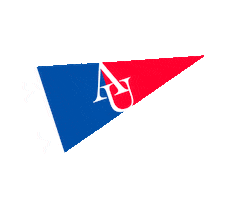 Americanu Sticker by American University
