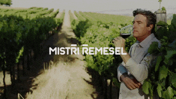 MEDIATELCZ GIF