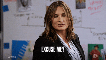Excuse Me Nbc GIF by Law & Order