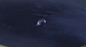 Water Drop GIF by 丸井織物